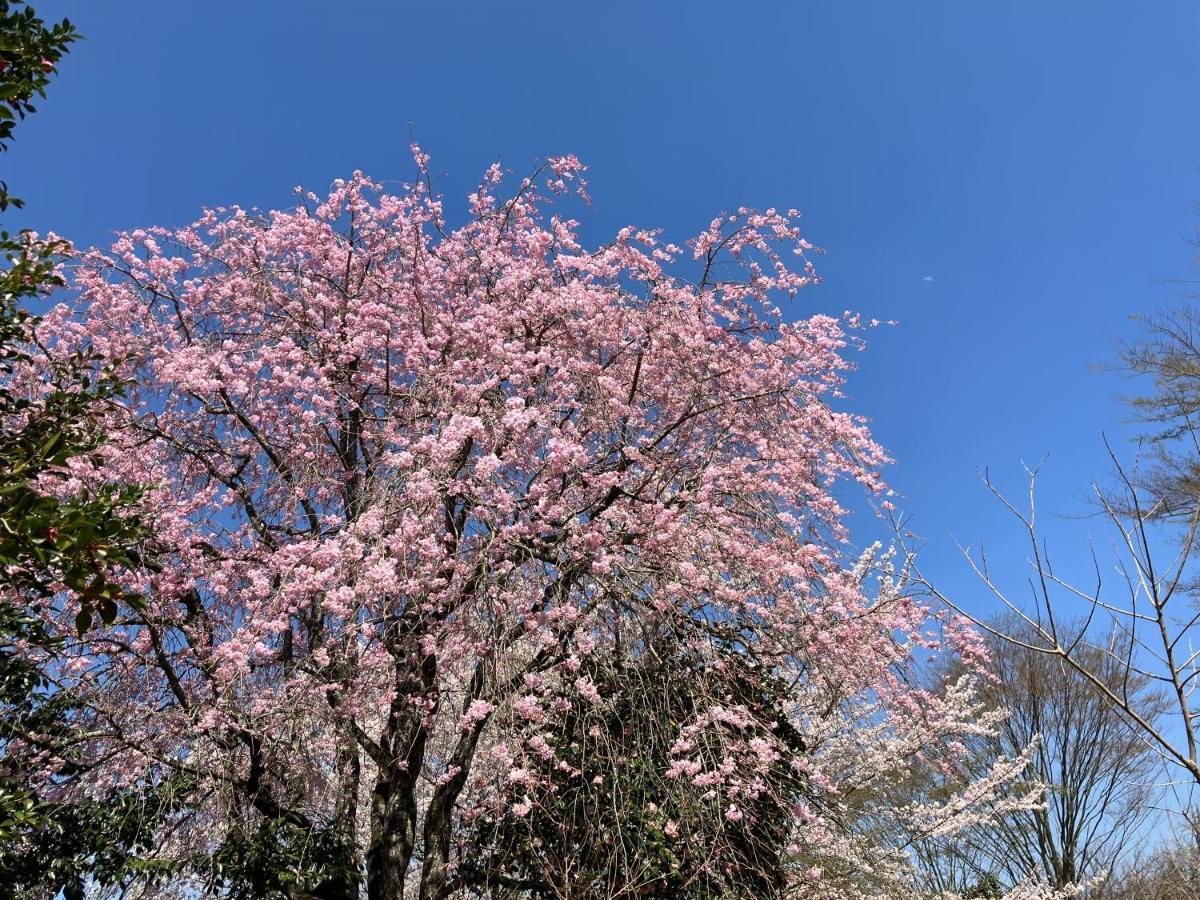 お宿でん吉 Minamiaso ภายนอก รูปภาพ